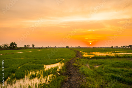 Beautiful sunsets in the countryside.21