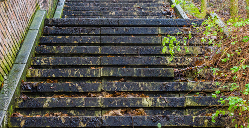 closeup of a slippery staircase in autumn season, outdoor architecture, stairs in the middle of nature