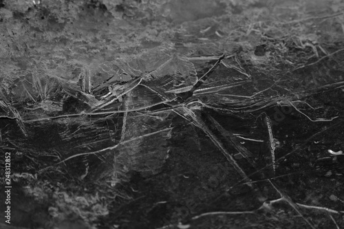 Broken ice surface on black background, winter closeup