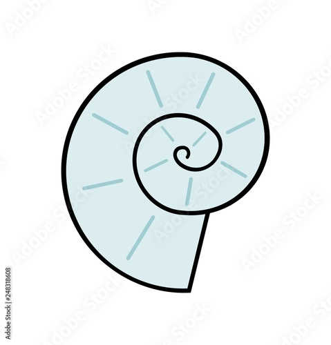 アンモナイト Stock イラスト Adobe Stock アンモナイト Stock イラスト Adobe Stock