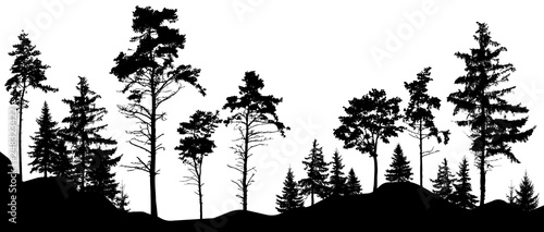 Forest silhouette trees. Vector illustration. (Trees isolated from each other, free-standing)