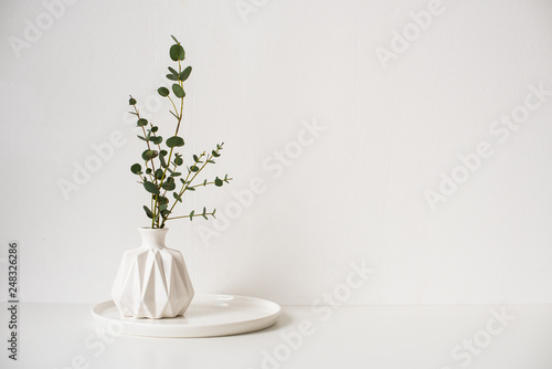 Eucalyptus branches in white ceramic vase on empty wall background photo