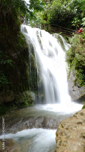 Fototapeta Naklejka Na Ścianę i Meble -  beautiful waterfalls flowing from springs in the forest