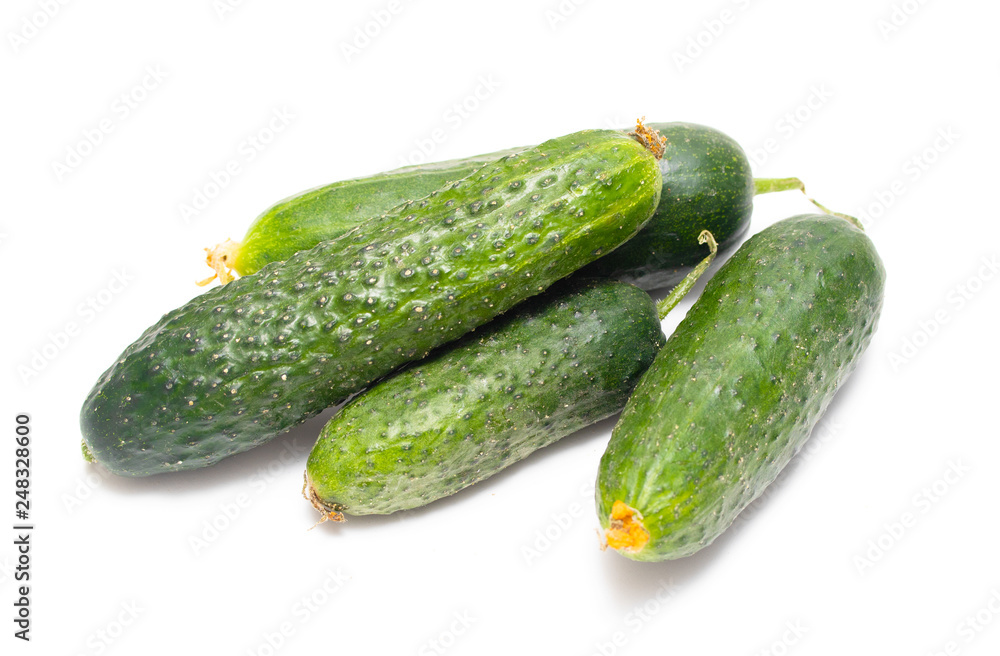 fresh green cucumber on white background fresh green cucumber on white background