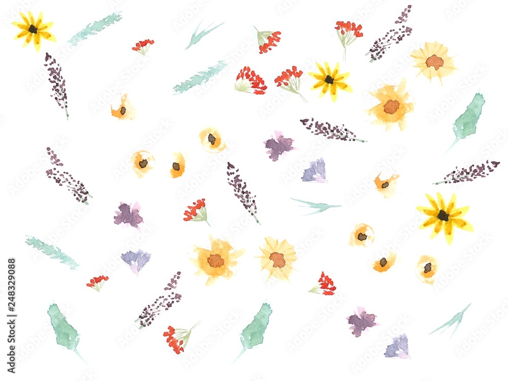 Watercolor floral background 