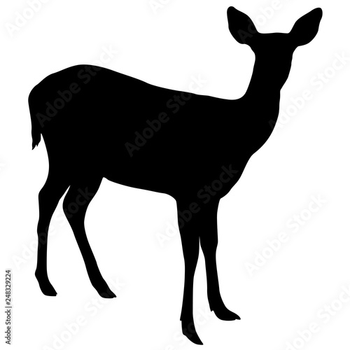 Silhouette of the deer on a white background