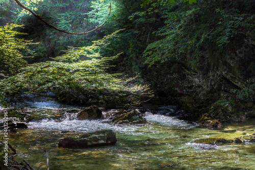 Gole del Vintgar  Slovenia