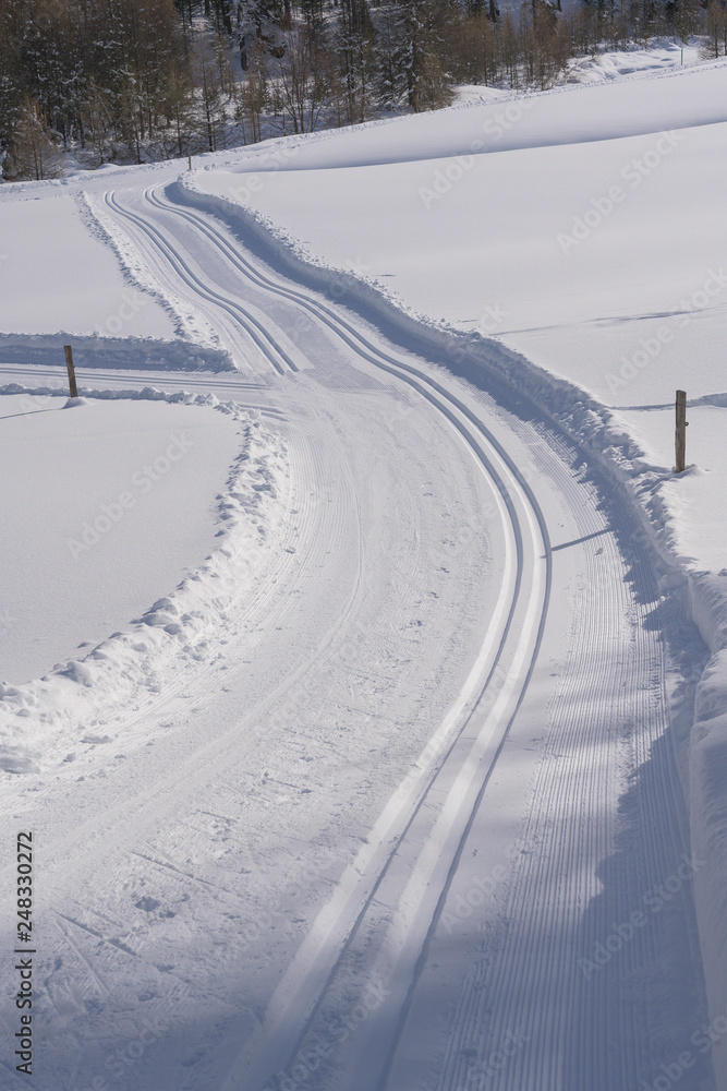 Langlaufloipe bei Pontresina, Graubünden, Schweiz Langlaufloipe bei Pontresina, Graubünden, Schweiz