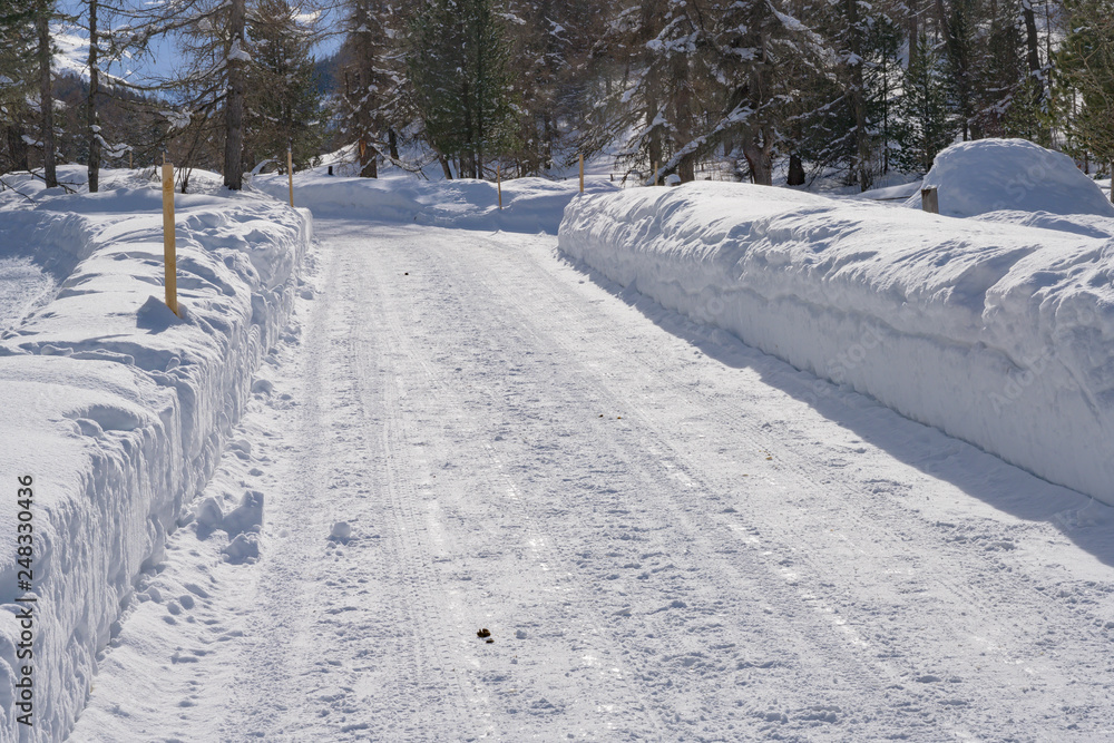 Obraz premium Schneebedeckte Strasse, bei Pontresina, Graubünden, Schweiz