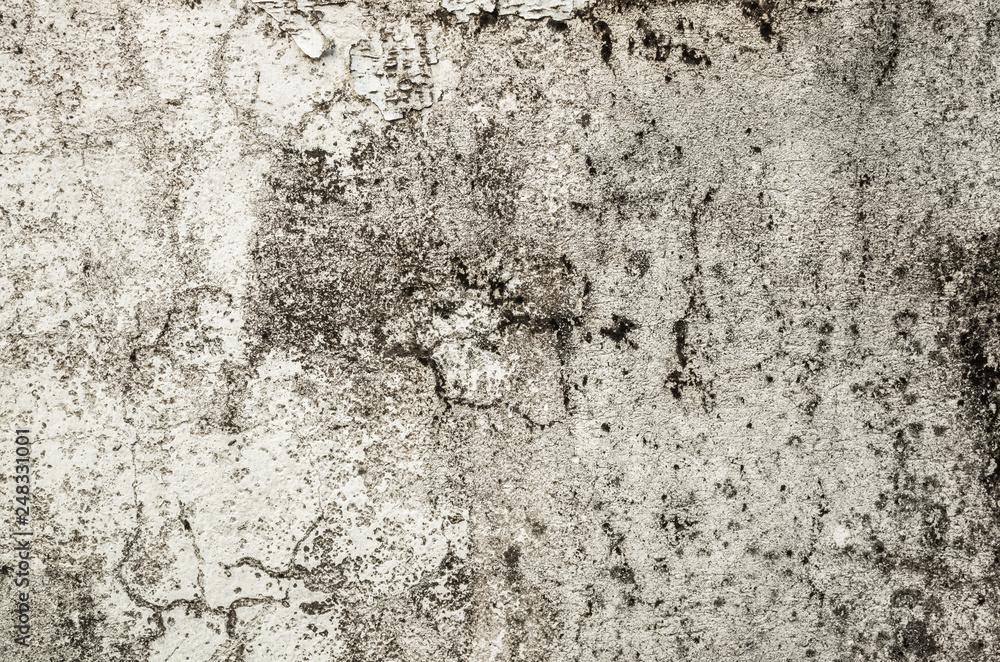 Obraz premium mildewed wall background