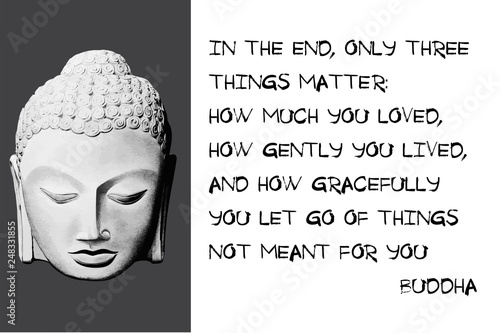 Buddha quote. In the end, only three things matter: How much you loved, how gently you lived, and how gracefully you let go of things not meant for you. 