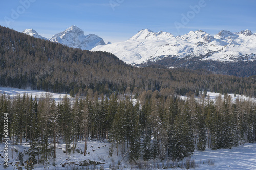 Winterlandschaft bei Pontresina, Graubünden, Schweiz