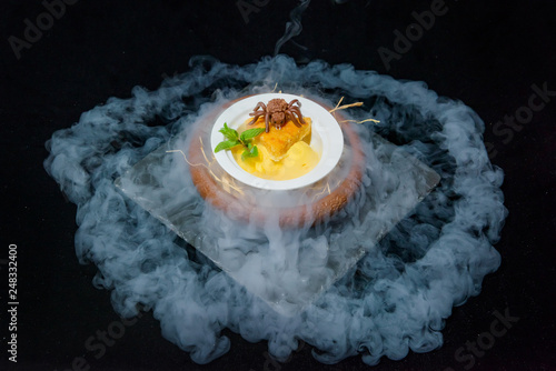 Serving dishes with liquid nitrogen. Fruit ice cream balls. Chocolate Spider Sweet dessert. Fresh green leaf of mint. Piece of pie. Beautiful dessert serving. Halloween menu. photo