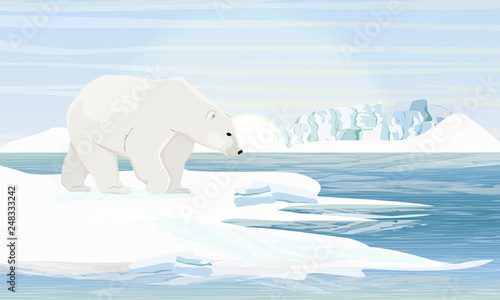 Polar bear by the sea. Floe and drifts. Realistic Landscapes of the Arctic, Canada, Scandinavia.