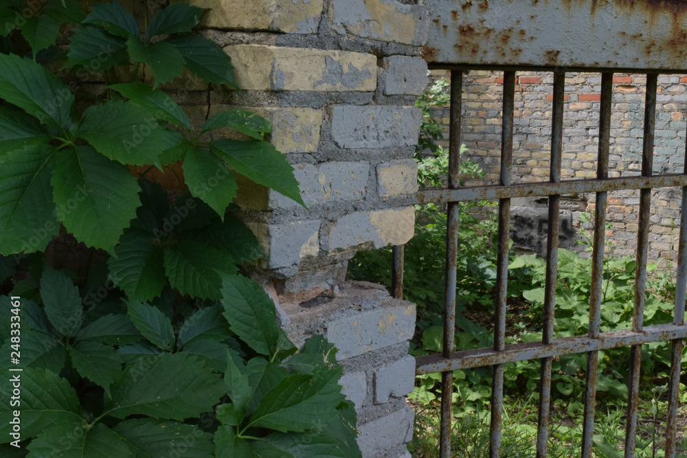 brick bars and ivy brick bars and ivy