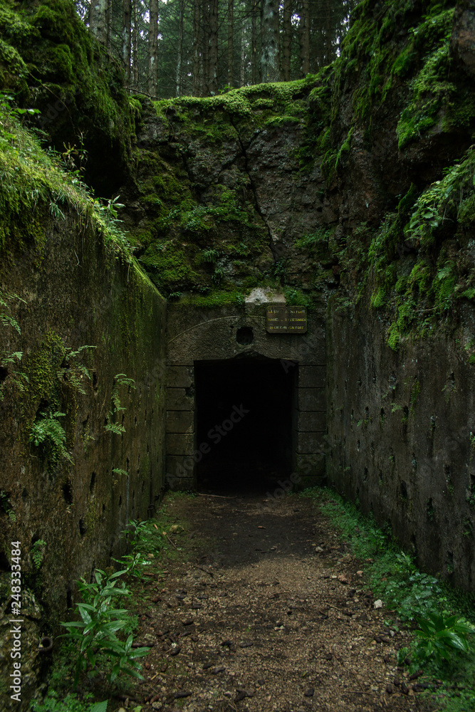 Galleria nel bosco Galleria nel bosco