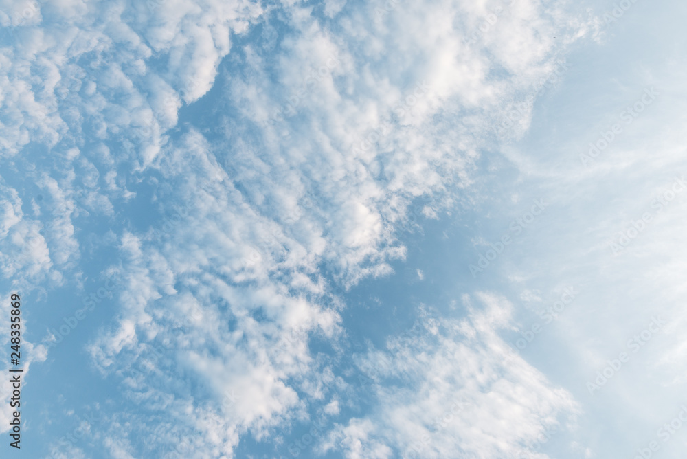 Cirrocumulus clouds in the sky, view from below Cirrocumulus clouds in the sky, view from below
