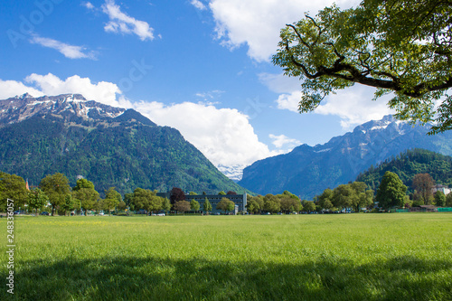 Park Hohematte. View of the Alps. Interlaken