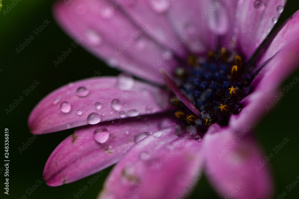 after the rain_02 after the rain_02
