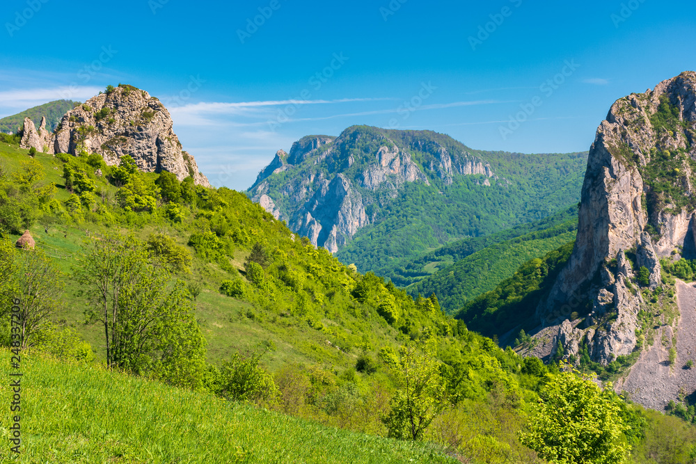 beautiful landscape of romania mountains. huge cliffs of canyon. wonderful nature scenery. sunny weather in springtime