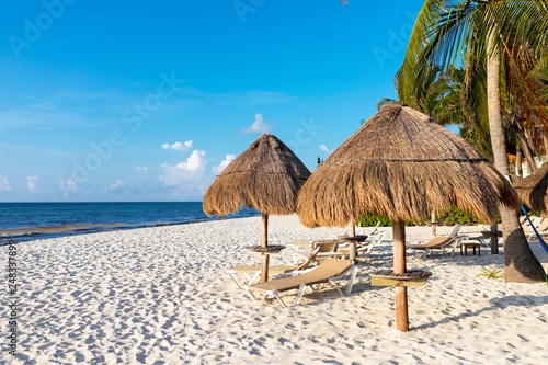 Sunloungers or sun beds under thatched parasols laid out a luxury tropical beach with palm trees along the Caribbean coastline Quintana Roo in the Yucatán Peninsula in Mexico.