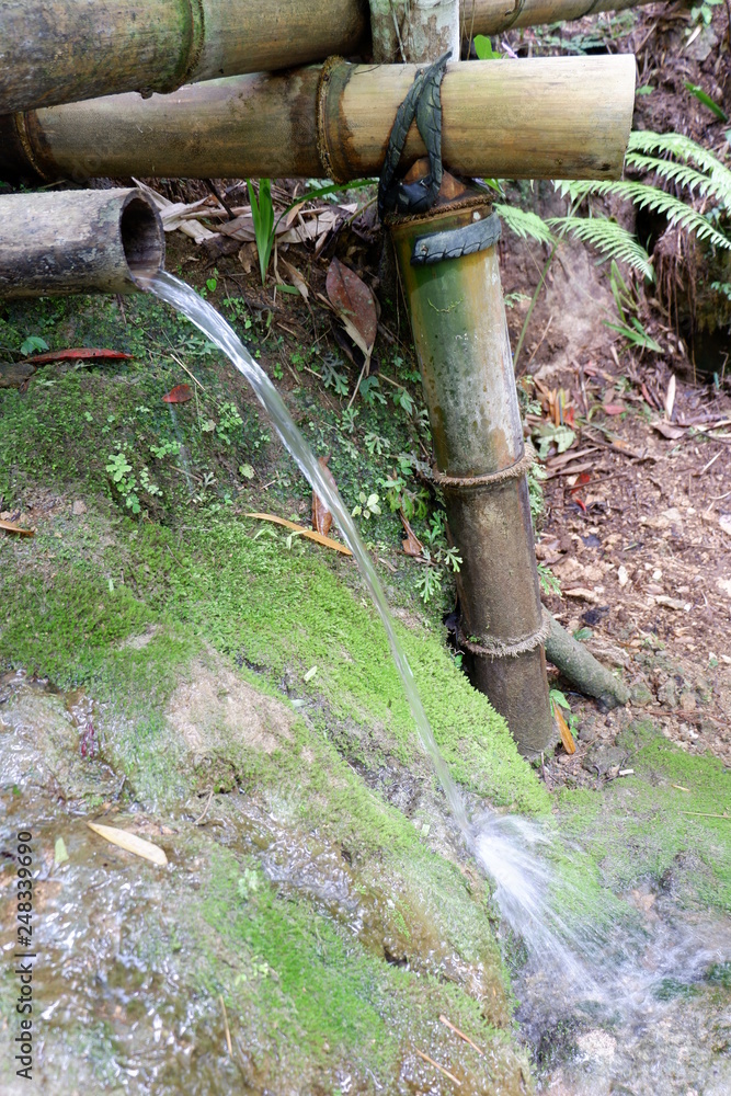 springs that are flowed with bamboo used for irrigation springs that are flowed with bamboo used for irrigation