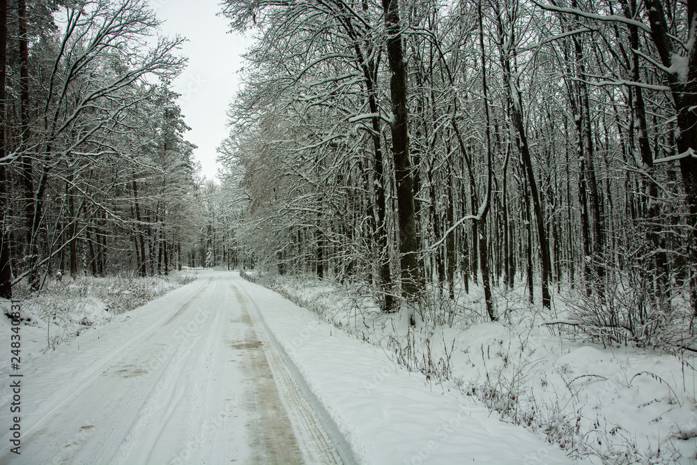 A simple snowy road through the forest A simple snowy road through the forest