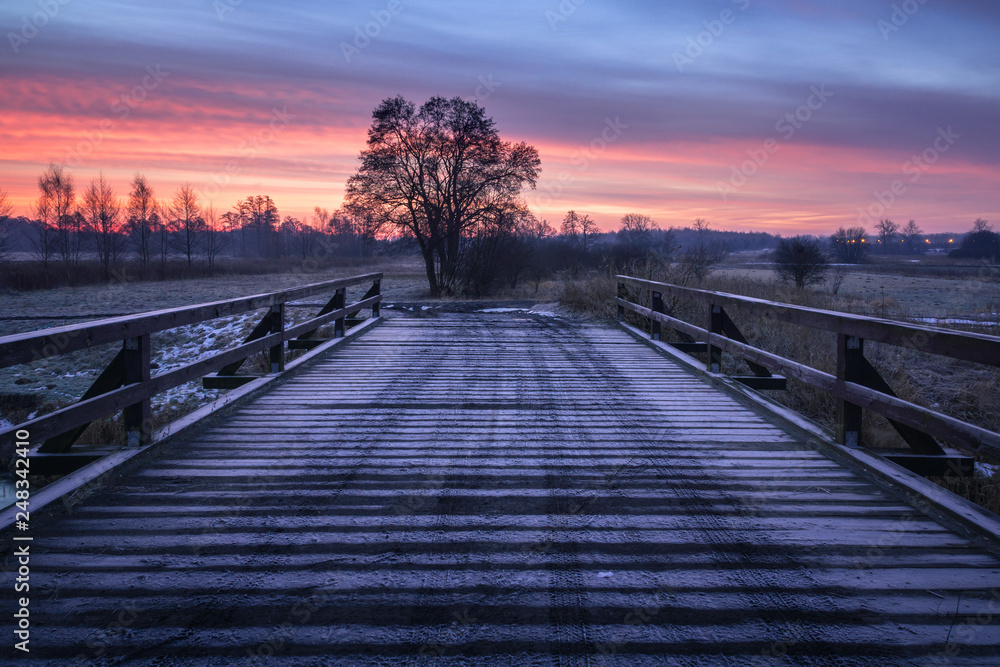 Fototapeta premium Dawn over the wooden bridge and lonely tree near Piaseczno, Poland