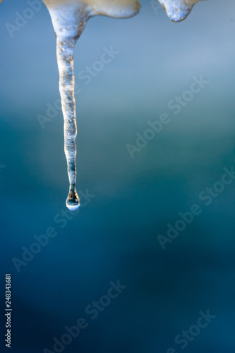 cold icicle of winter sea