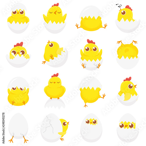 Cute chicken in egg. Easter baby chick, newborn chickens in eggshell and farm kids chicks isolated cartoon vector illustration set