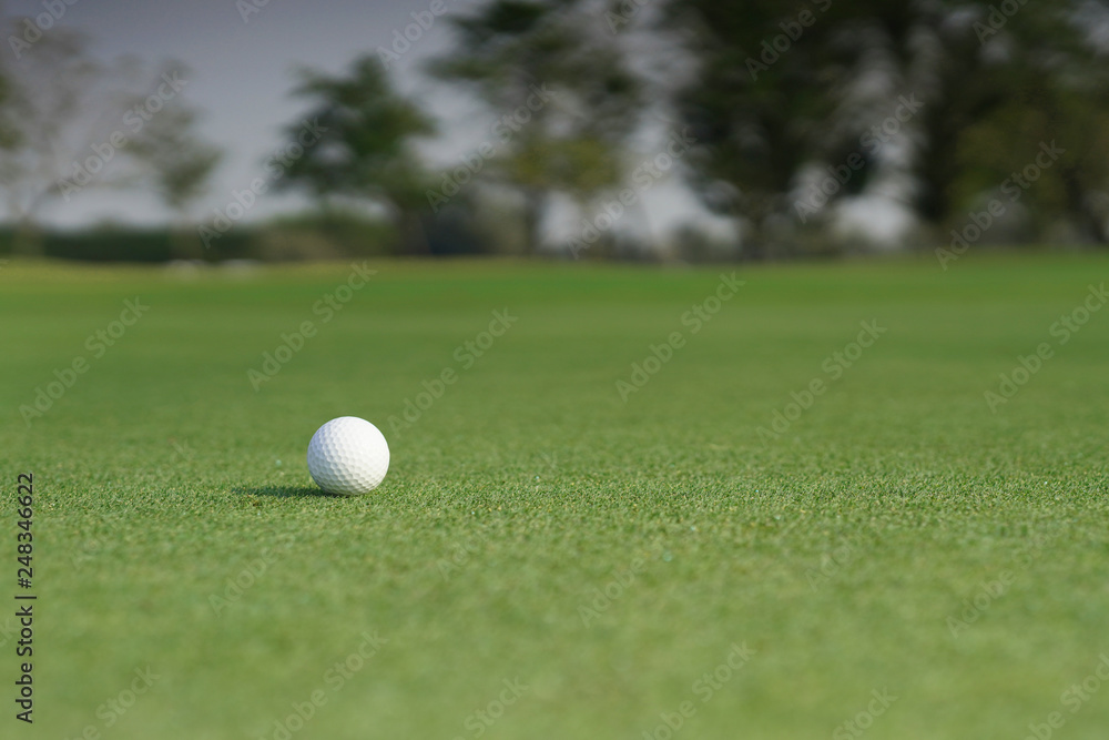 Golf ball on a green grass with blank copy space Golf ball on a green grass with blank copy space