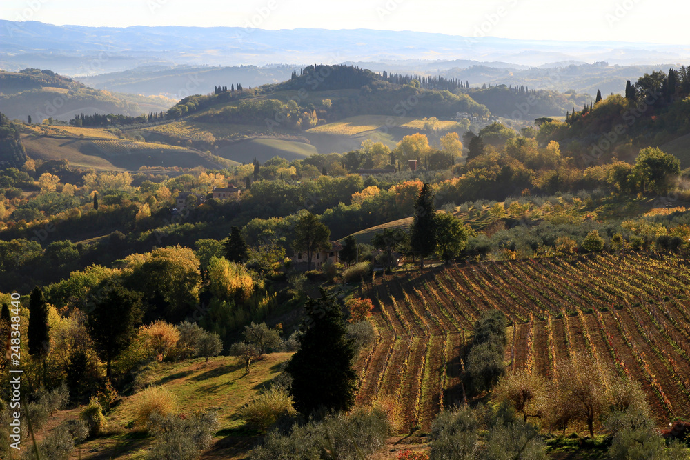 Light on the Tuscan countryside, seen from a terrace in San Gimignano (Italy) on an autumn morning. Cypresses, vineyards, hills...