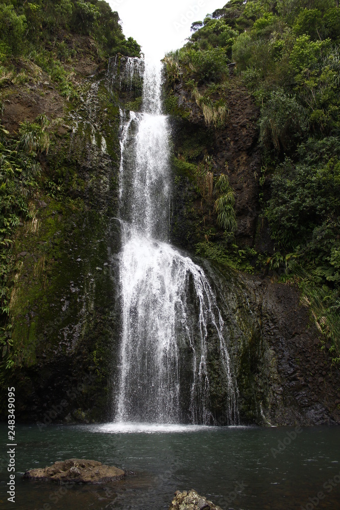 Kitekite waterfall view in Waitakere Ranges, Auckland, New Zealand, North Island