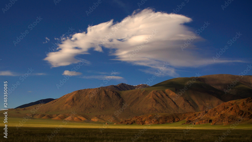 Fototapeta premium SONY DSC