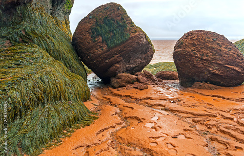 Fundy National Park, located on the Bay of Fundy in New Brunswick, Canada, has the highest tides in the world