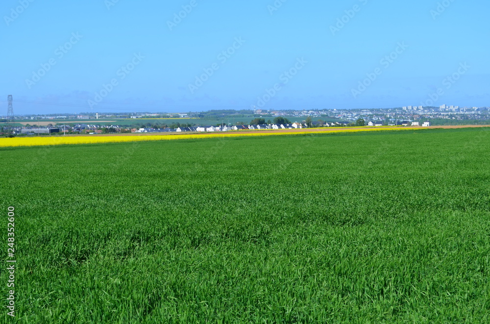 Plaine de Caen (Région d'Evrecy - Normandie)