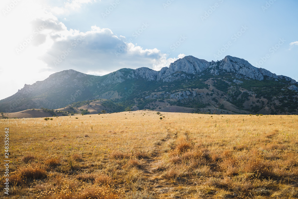 A path through dried grass leads to the mountains