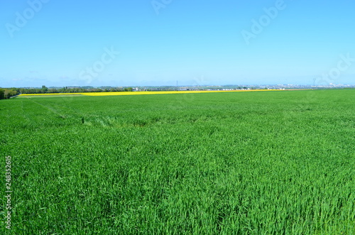 Plaine de Caen (Région d'Evrecy - Normandie)