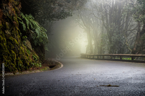Spooky dirt road. Deep into the Anaga laurel forest. In the east of Tenerife photo