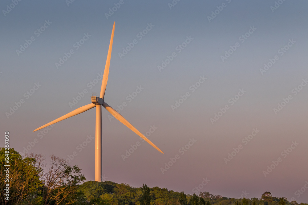 Fototapeta premium Wind Turbines at Sunset, Sussex, England