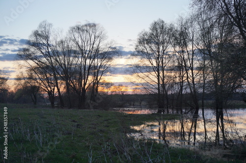 Spring landscape - willow under sunshine on the bank of the small river at spring sunset