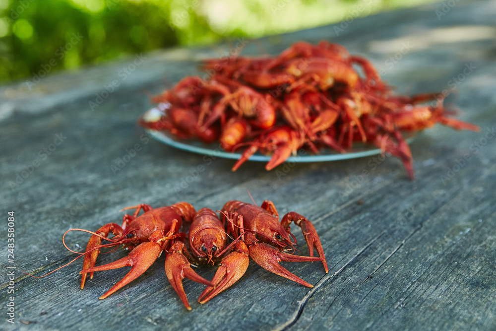 Crawfish cooked and served on wooden background Crawfish cooked and served on wooden background