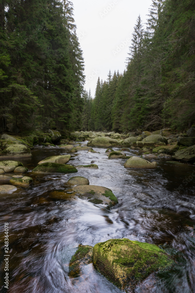 Beautiful river flowing through a northern forest Beautiful river flowing through a northern forest