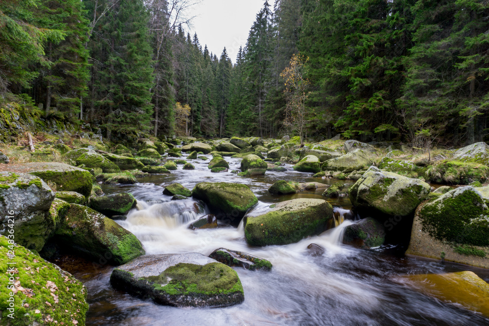 Beautiful river flowing through a northern forest