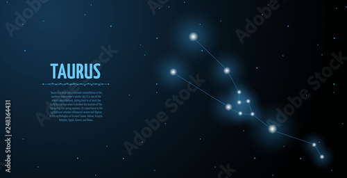 Taurus zodiac constellation vector sign with silhouette. Poster design with place for text