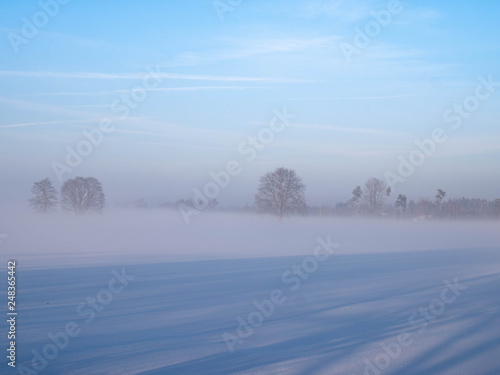 Winterlandschaft mit schneebedecktem Feld und Baumreihe im Nebel