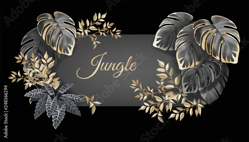 Template label dark leaves of tropical exotic plants. Flyer jungle with palm trees and lianas. Vector illustration with space for text.