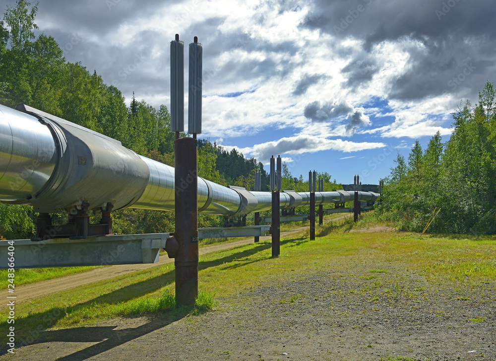 Trans-Alaska oil pipeline near Fairbanks, Alaska, USA