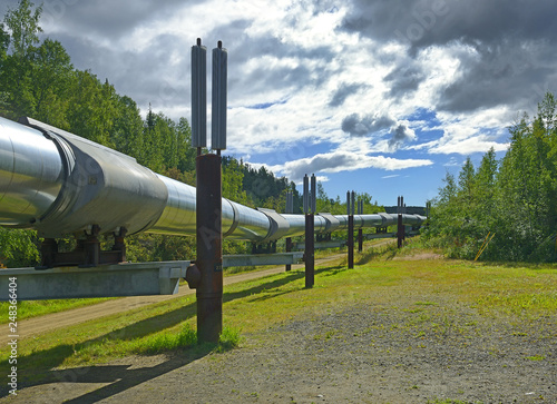 Obraz na płótnie Trans-Alaska oil pipeline near Fairbanks, Alaska, USA w salonie