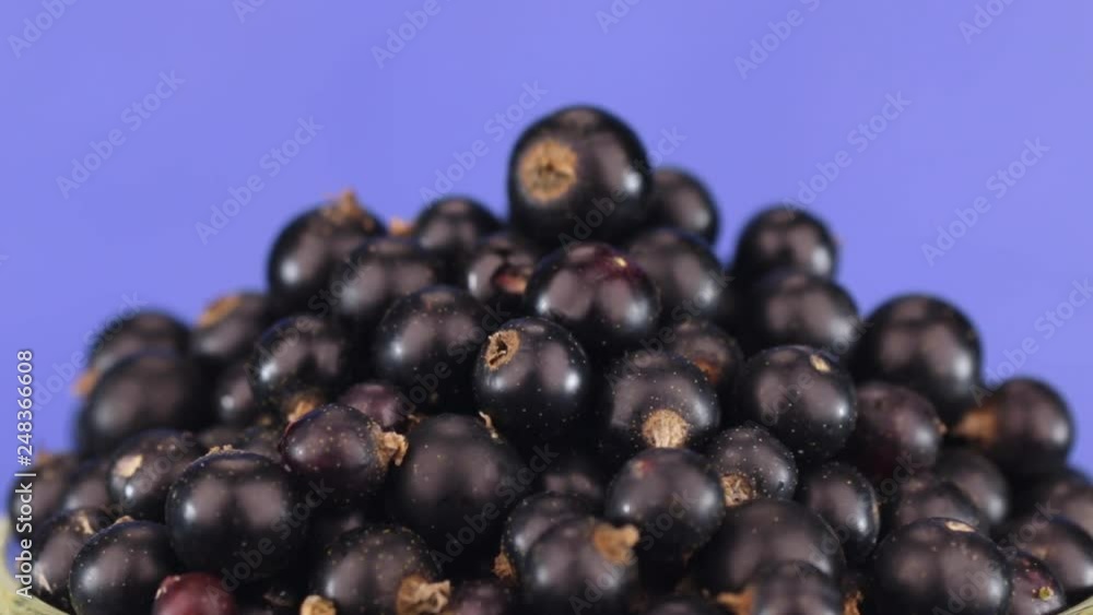 Rotation of a heap of ripe juicy black currants, isolated Rotation of a heap of ripe juicy black currants, isolated